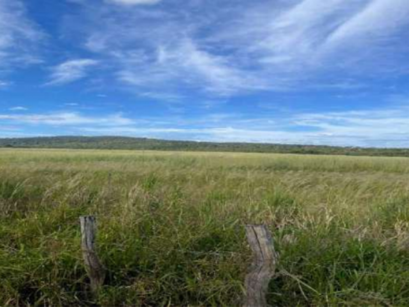 Fazenda, Rural, Zona Rural