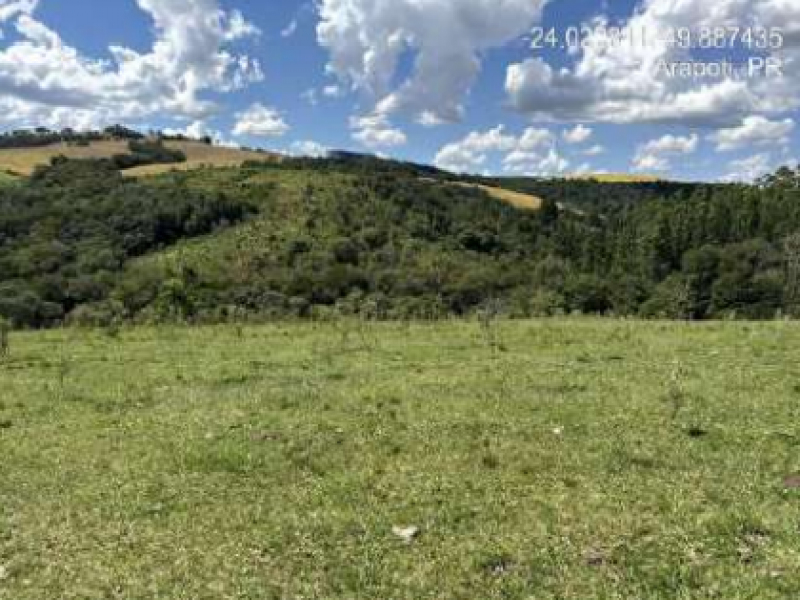Imagem do imóvel Lote, Rural, Canoinhas