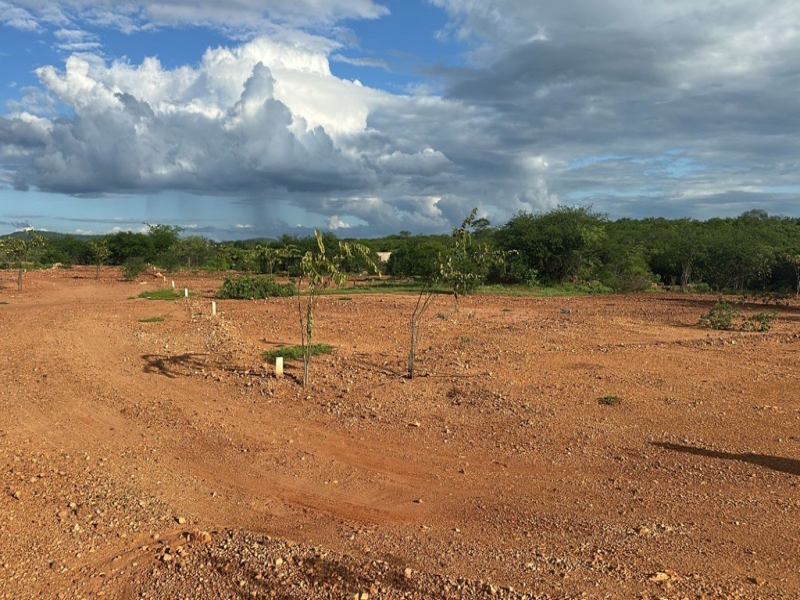 Foto de Terreno na Rua Projetada, 90 - Leilão encerrado em Carnaíba/PE