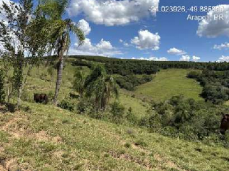 Imagem do imóvel Lote, Rural, Gleba 01