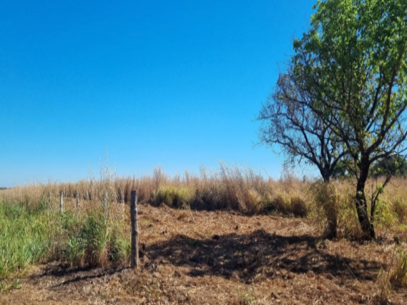 Lote, Rural, Polo de Fruticultura Irrigada São João